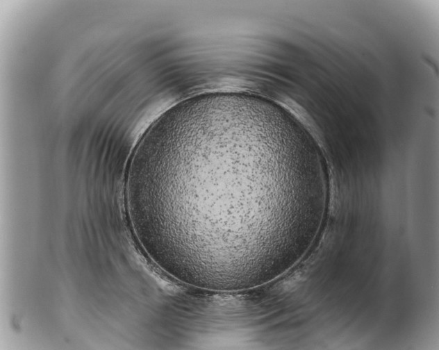 X0000102290850200808011511