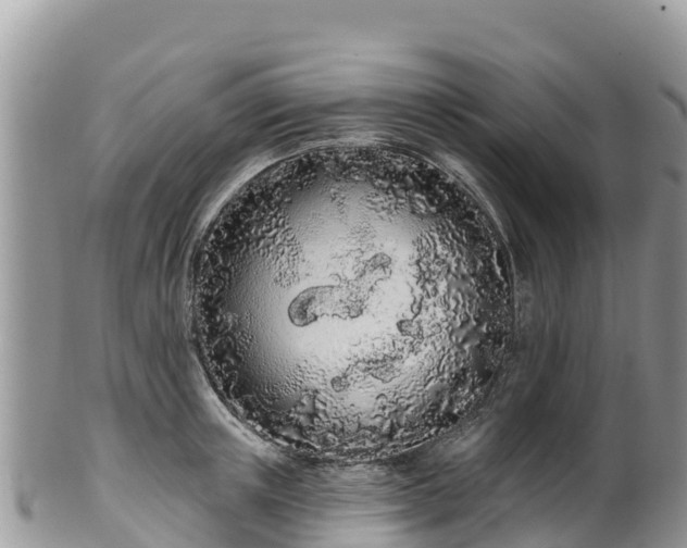 X0000102290851200808011511