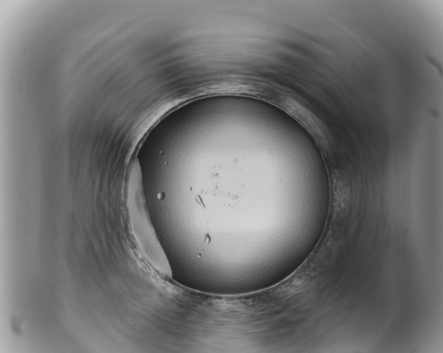 X0000102290852200808011511