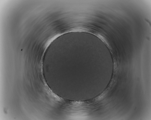 X0000102290854200808011511