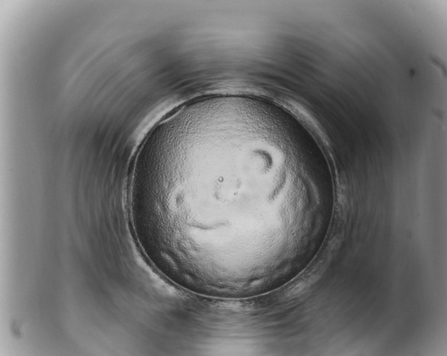 X0000102290855200808011511