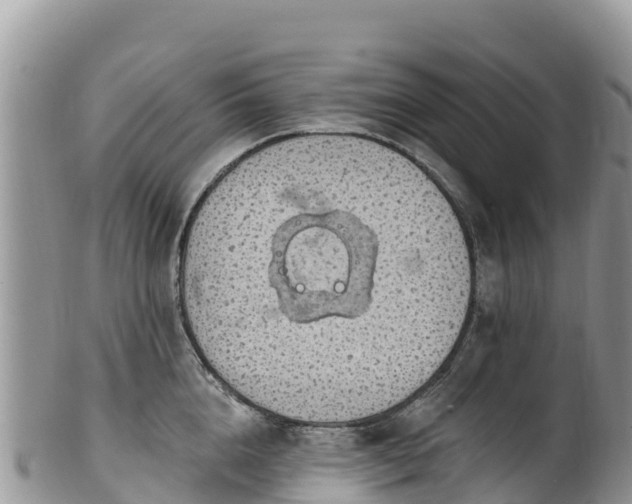 X0000102290856200808011511