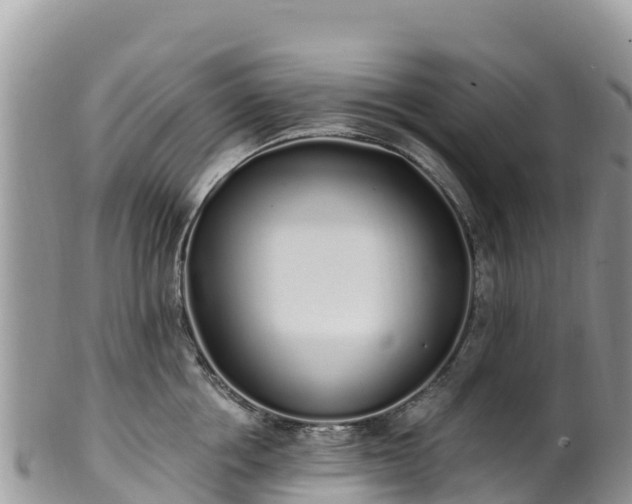 X0000102290858200808011511