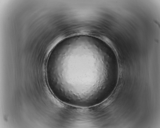 X0000102290859200808011511