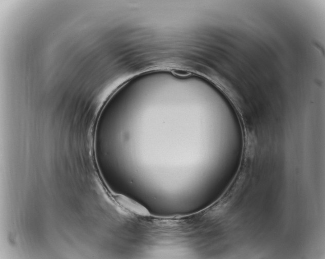 X0000102290862200808011511