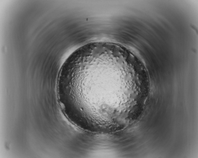 X0000102290863200808011511