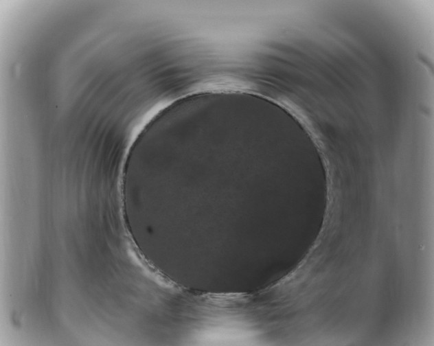 X0000102290864200808011511