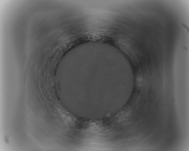 X0000102290865200808011511