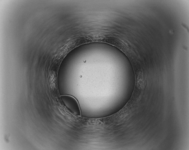 X0000102290866200808011511