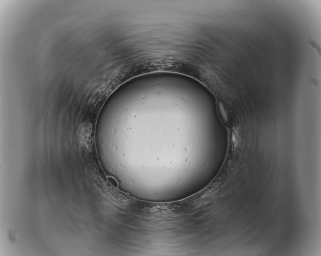 X0000102290867200808011511