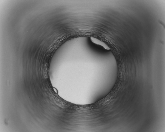 X0000102290868200808011511