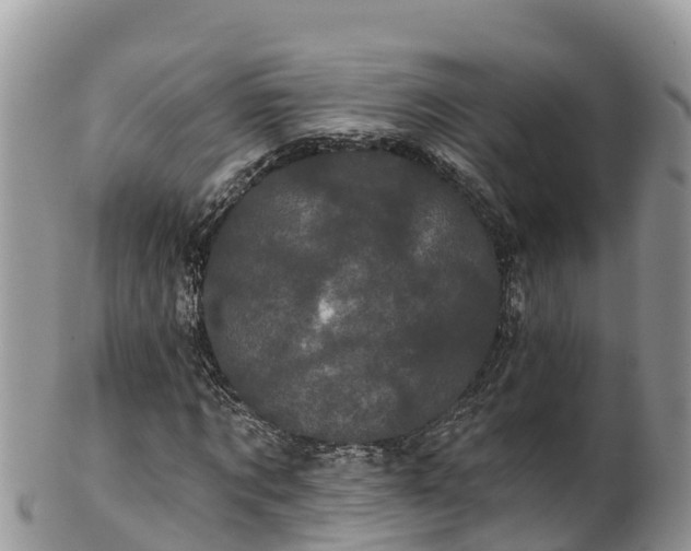 X0000102290869200808011511