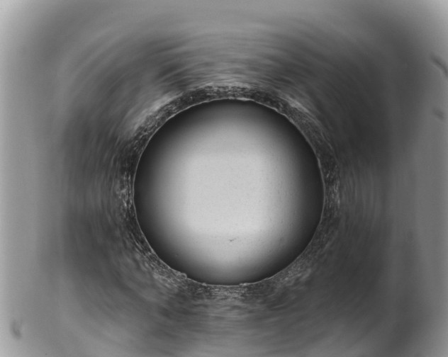 X0000102290870200808011511