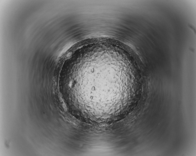 X0000102290871200808011511