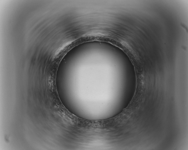 X0000102290872200808011511