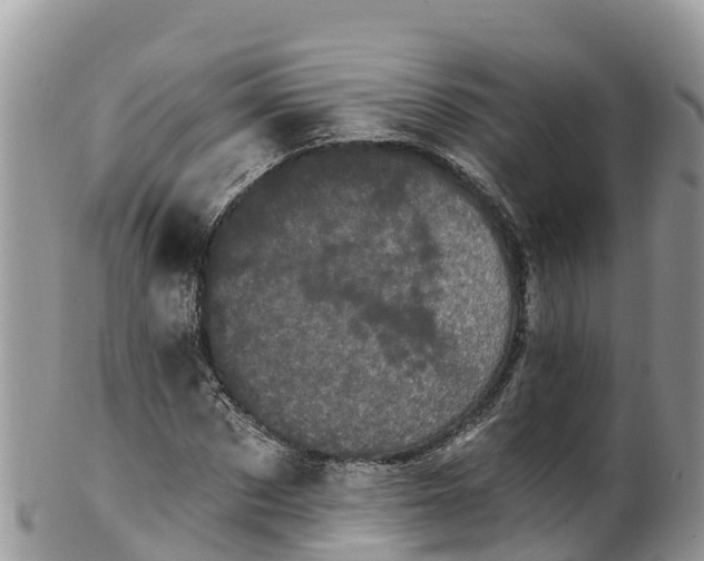 X0000102290873200808011511