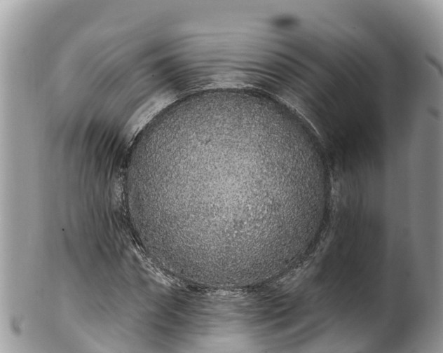 X0000102290874200808011510