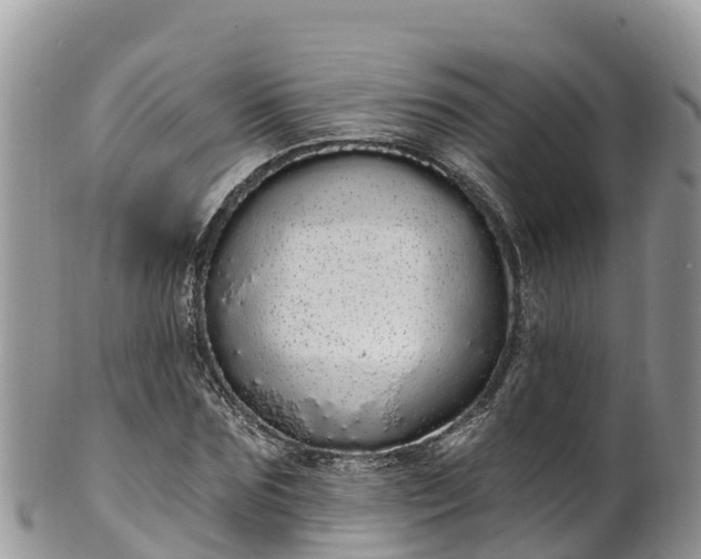 X0000102290875200808011510