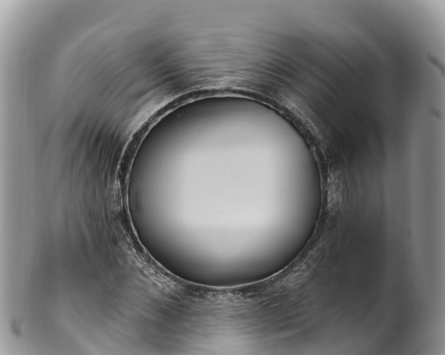 X0000102290876200808011510