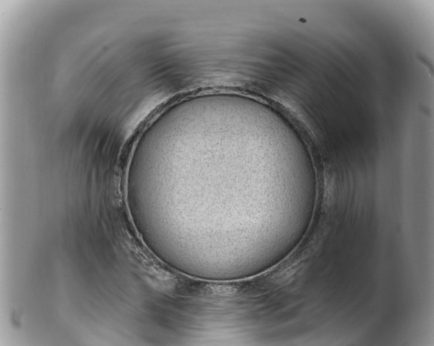 X0000102290878200808011510