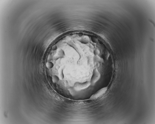 X0000102290879200808011510