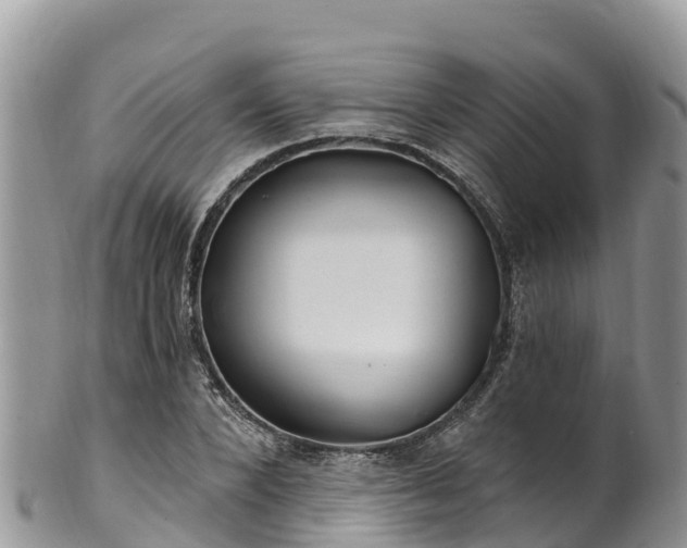 X0000102290880200808011510