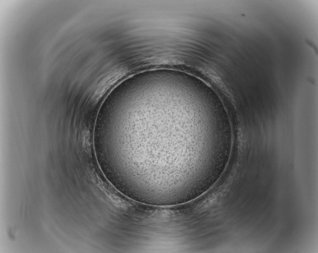 X0000102290881200808011510