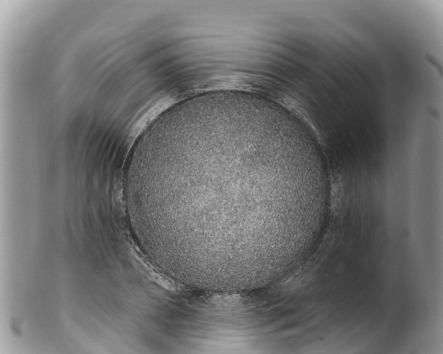 X0000102290882200808011510