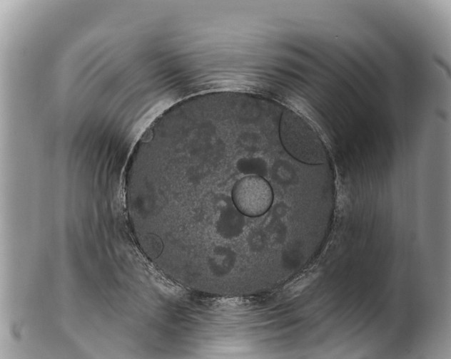 X0000102290883200808011510