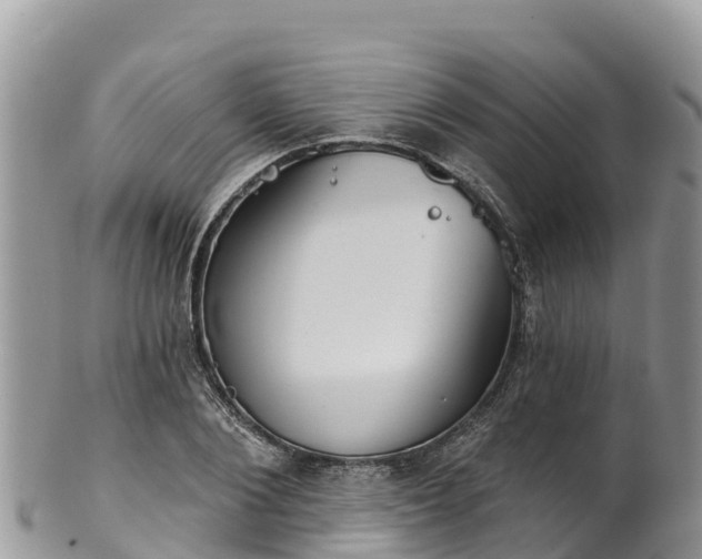 X0000102290884200808011510