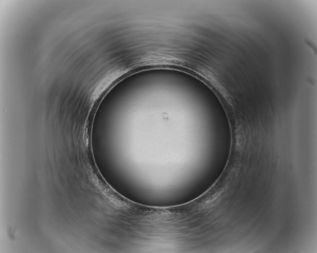 X0000102290885200808011510