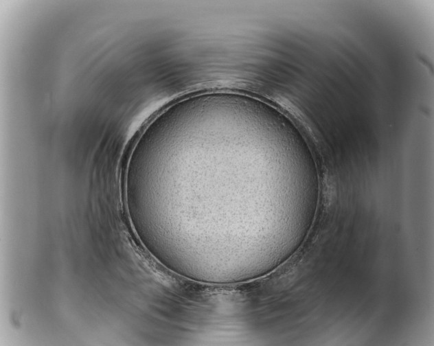 X0000102290886200808011510