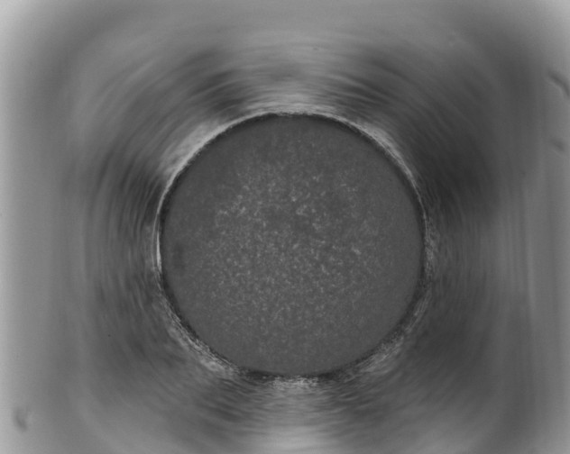 X0000102290887200808011510