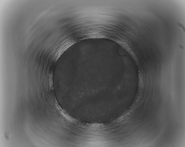 X0000102290889200808011510