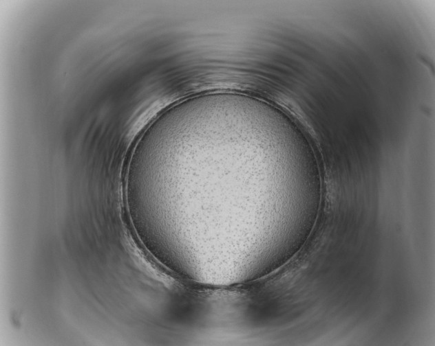 X0000102290890200808011510