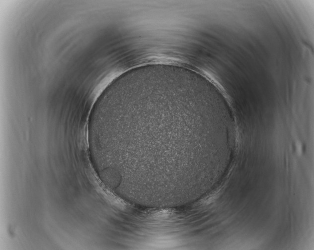 X0000102290891200808011510