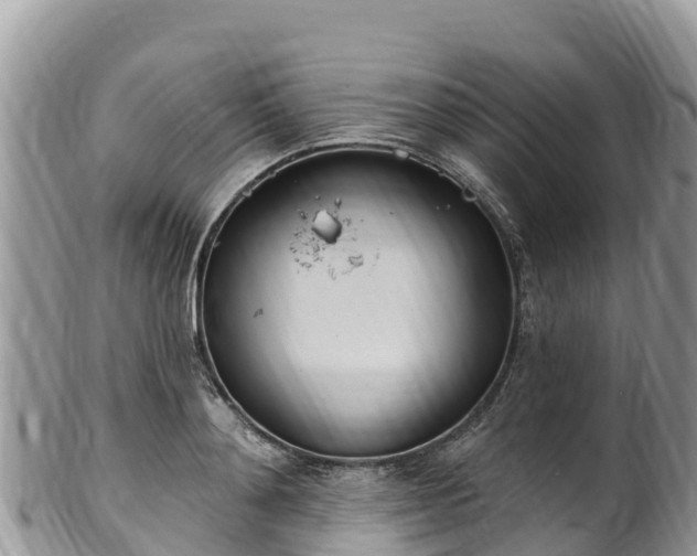 X0000102290892200808011510