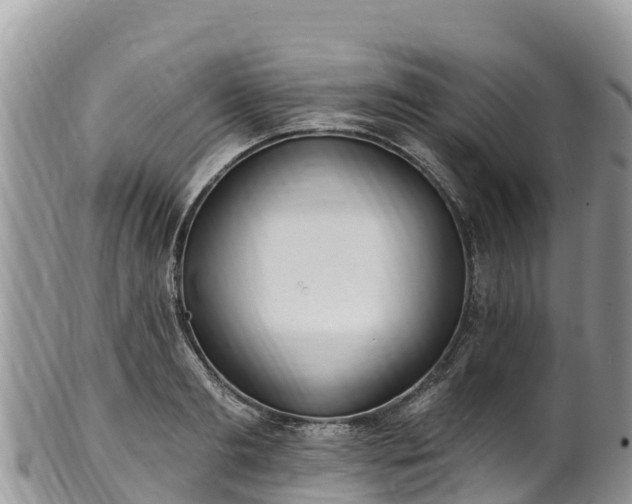 X0000102290893200808011510