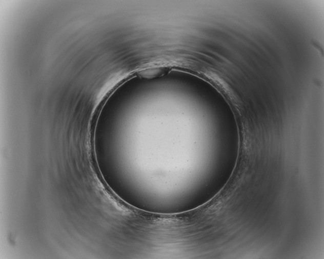 X0000102290894200808011510