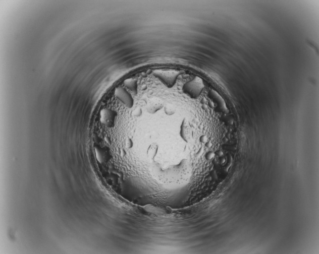 X0000102290895200808011510