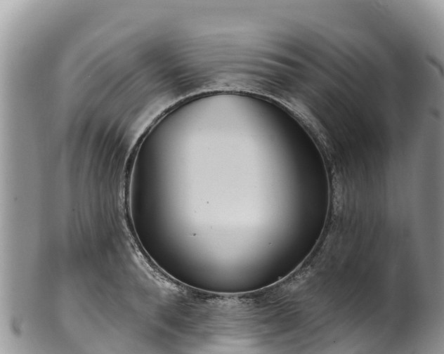 X0000102290896200808011510