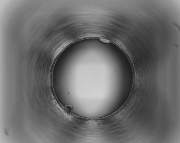 X0000102290898200808011510