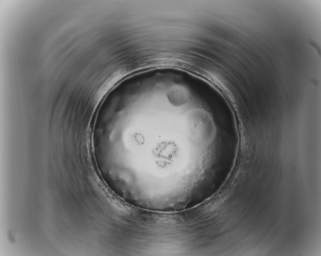 X0000102290899200808011510