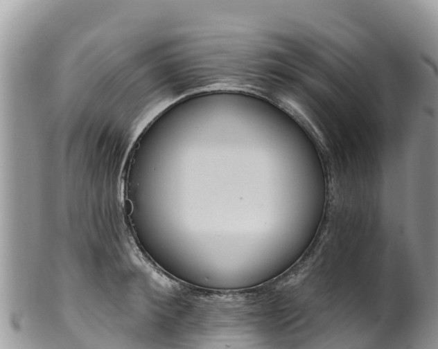 X0000102290900200808011510