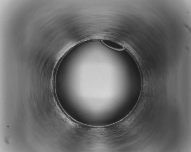 X0000102290902200808011510