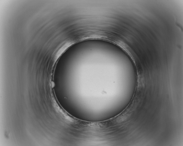 X0000102290906200808011510