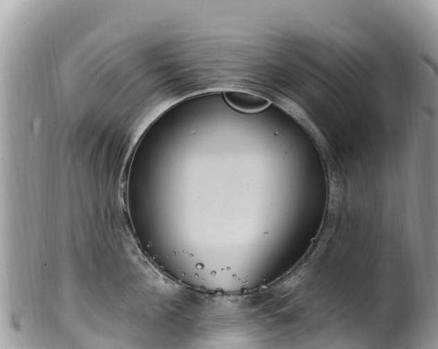 X0000102290908200808011510