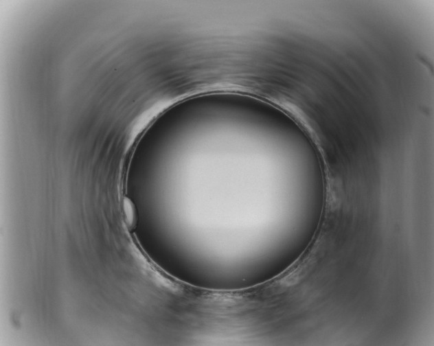 X0000102290910200808011510