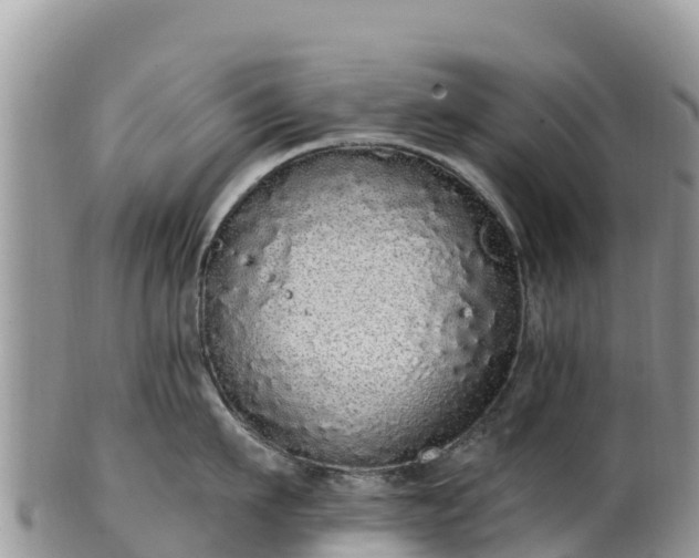 X0000102290911200808011510