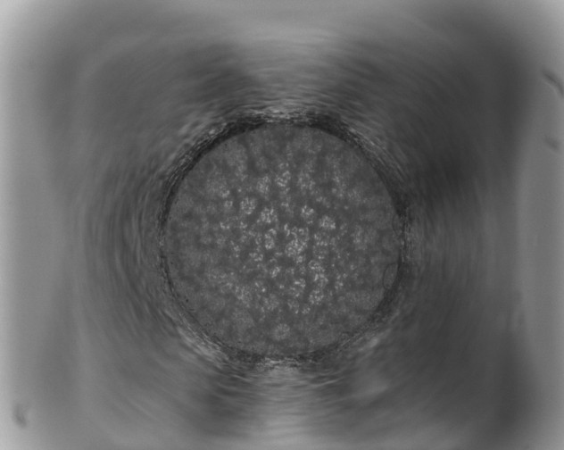 X0000102290913200808011509